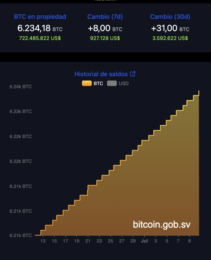 Crecen los holdings de Bitcoin tras el último rally alcista de BTC. 
